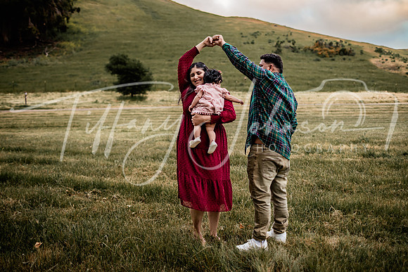 Sandhu Family 051923_0164 S1_STE