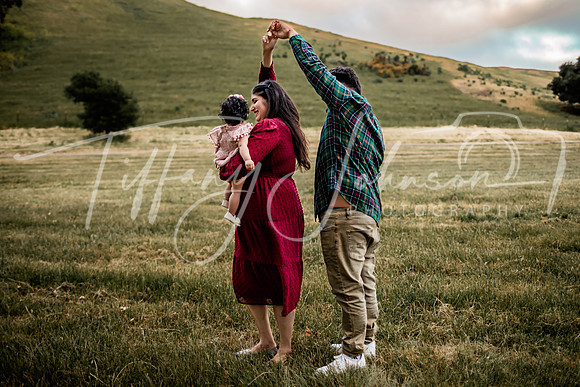 Sandhu Family 051923_0172 S1_STE