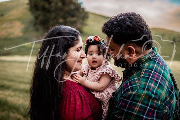 Sandhu Family 051923_0146 S1_STE