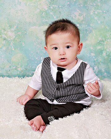 Chan Twins 6 mos 011715_023 16x20