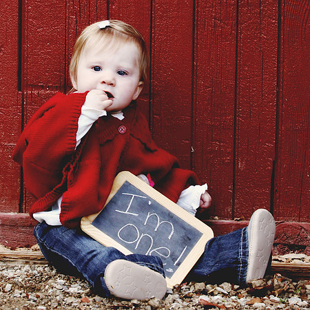 Emily D 1yr 111712_025 20x20 Mte