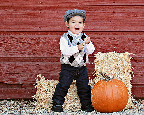 Nicholas 1yr 102713_045 16x20