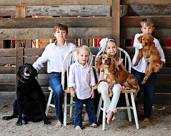 Tamayo Kids 060714_157 16x20