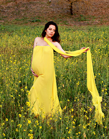 Thuy Pham Maternity 012112_266 11x14